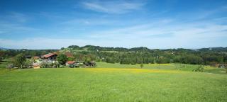 Seimehof Urlaub auf dem Bauernhof - 8