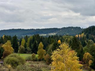 Apartmán Pri Tichom Lese - 1