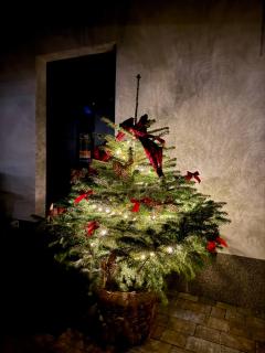 Pod Izerskim Niebem - kameralny domek z balią, w sąsiedztwie Świeradowa-Zdroju - 4