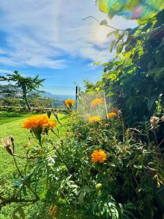 Hera House, Ponta do Sol, Portugal - 7