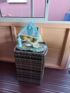 Appartement avec piscine privée à Rivière-Pilote, 45 m² - 4