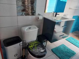 Appartement avec piscine privée à Rivière-Pilote, 45 m² - 1