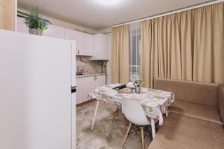 Standard 1-bd Apartment Manufacture - 9