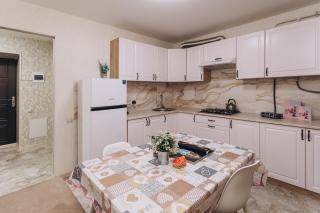 Standard 1-bd Apartment Manufacture - 8