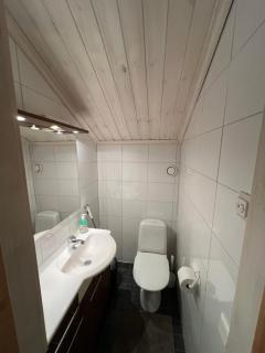 Arctic Estate Levi - 2