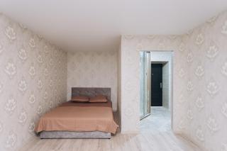 Standard 1-bd Apartment Manufacture - 4