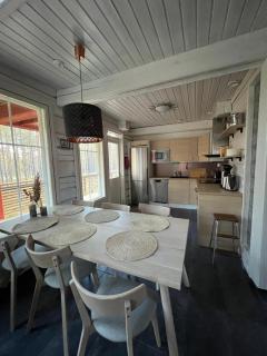 Arctic Villa Levi - 9