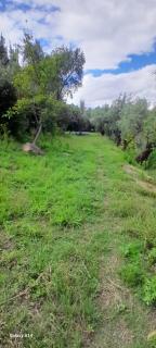 Casa de campo en Alquiler - 2