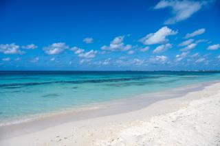 Laguna del Mar #10 - Oceanfront 3 bedroom on Seven Mile Beach - 5