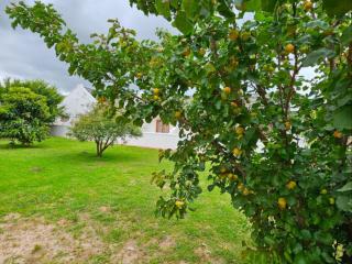 Wingrock Guesthouse - 2