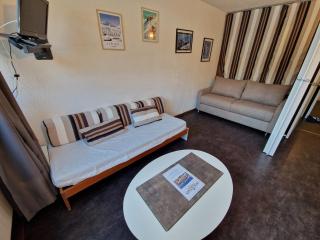 Studio pratique ski aux pieds avec terrasse et animaux admis - FR-1-181-2666 - 4