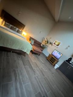 Oak field Cottages Belfast open plan studio stunning & tranquil - 5