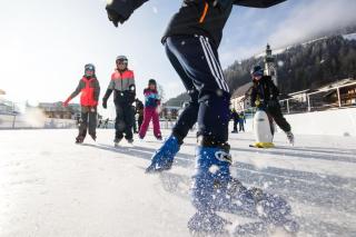 Appartement Holaus - 2