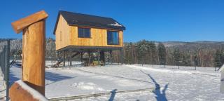 Natur House Beskidy - dom z drzewa księżycowego z SAUNĄ i BALIĄ Jacuzzi!! - 8