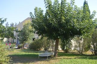 La Bastide Des Oliviers - Châteaurenard - 1