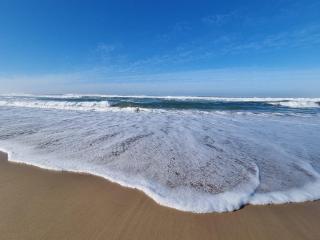 Lilies and Leopards Holiday Home B & B - 5