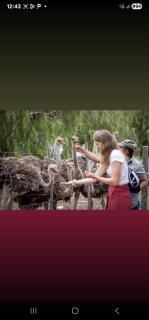 Lilies and Leopards Holiday Home B & B - 8