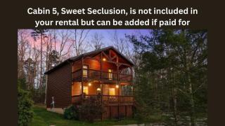 The Great Getaway at Cabins in the Clouds - 9