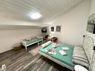 Hostel Pansion Lion - 1