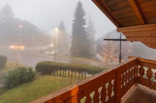 Chalet 8p Villars-sur-Ollon, Parking et Jardin - 3