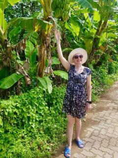 HMC Villa polhena - 3