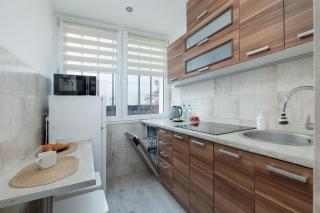 Park Żeromskiego Comfort Apartment by BookingHost - 1