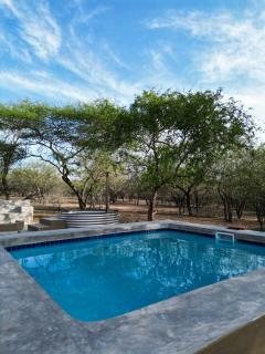 Dung Beetle Bush Villa - 6