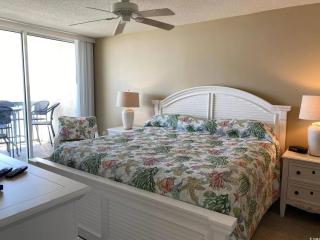 Private Ashworth Resort Direct Oceanfront View New - 8