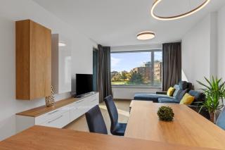 Skypark Spacious apartment Free Parking - 9