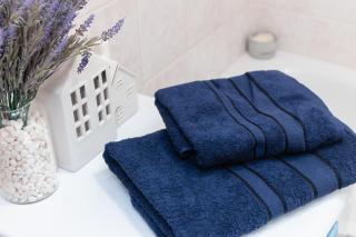 Standard 1-bd Apartment LAVINA - 2