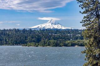 Inventor's Cottage 30 Night Minimum - 9