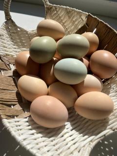 Alojamiento y Desayuno Privado de Lujo C1B - 1