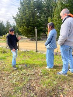 Alojamiento y Desayuno Privado de Lujo C1B - 6