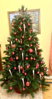 Happy family house - 9