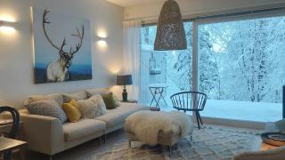 Arctic Luxury Home - 4