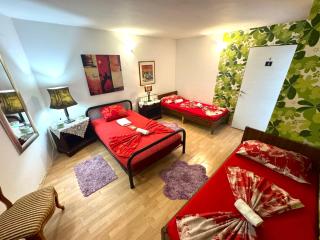 Hostel Pansion Lion - 8