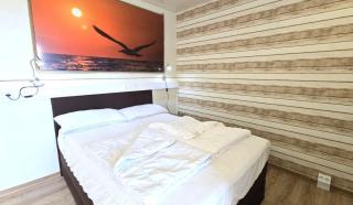 Ferienwohnung Möwe - 1