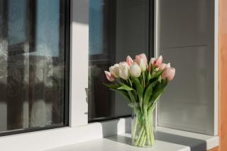 Luxury 1-bd Apartment Novomestenska Street - 4