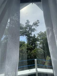 Coco Cavana - Red House - 7