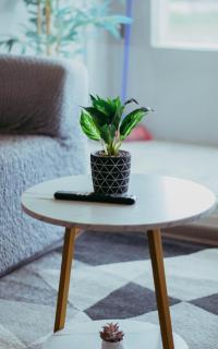 Hermoso depto con vista al mar y solo 50 mtrs de la playa - 5