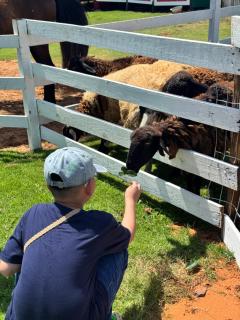 MIAN FARM & GLAMPING Mui Ne - 2