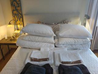 Centrala stan- 2-rums Gästsvit, perfekt för kollegor som önskar separata rum - 7