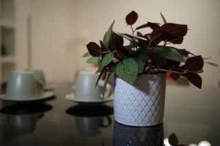 Eschilo - Cairoli Apartments - 5