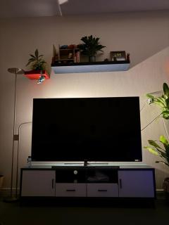 Friendly apartment with friendly pet - 0