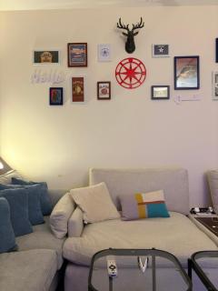 Friendly apartment with friendly pet - 8