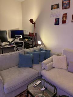 Friendly apartment with friendly pet - 6