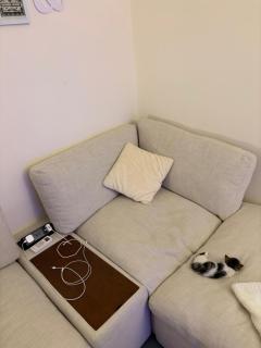 Friendly apartment with friendly pet - 4