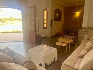 Magnifique villa alliant tradition et modernité en plein oliveraie - 8