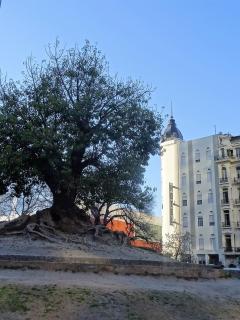 Hotel Plaza Roma - Buenos Aires - 7