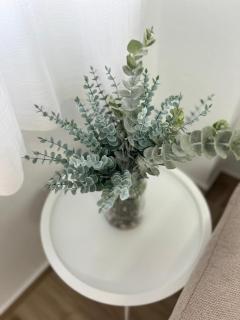 El Rincón de Patricia - 3